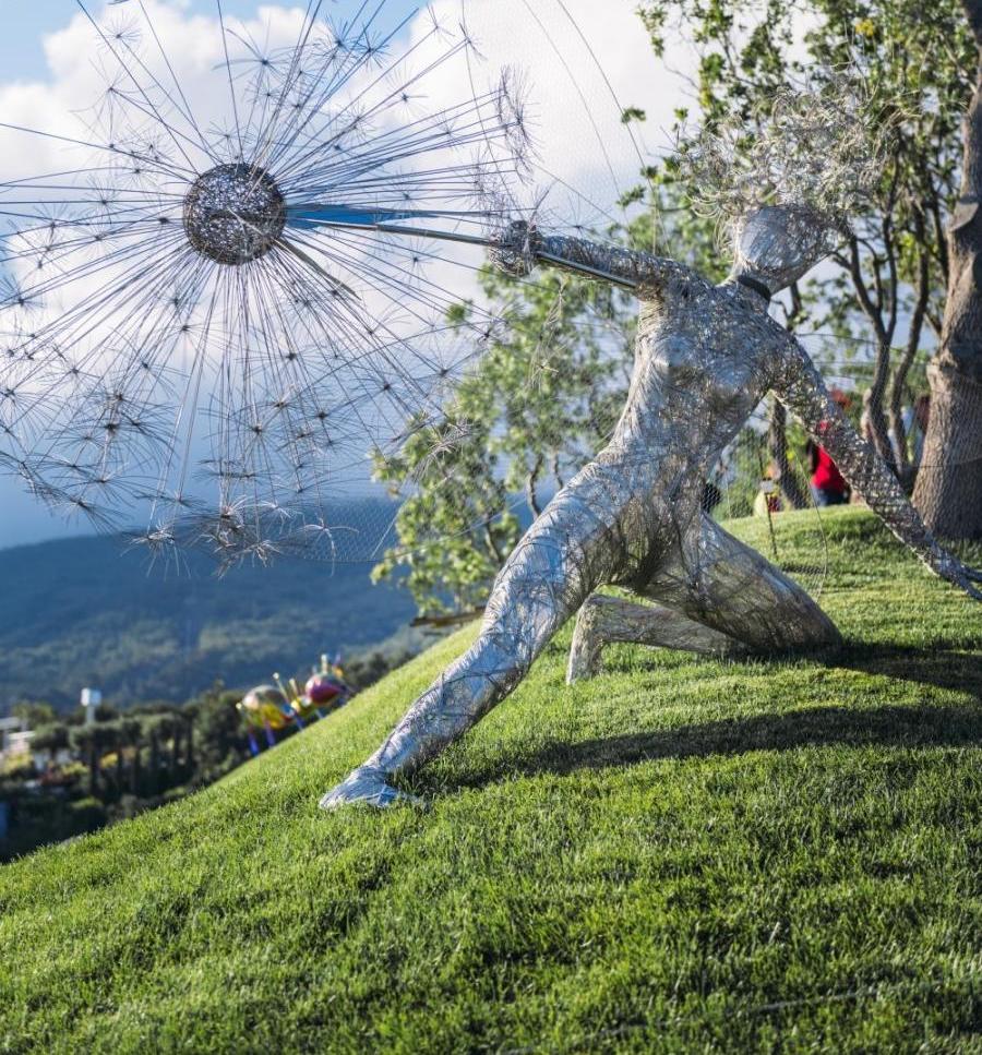 ЭКСКУРСИЯ ПО ВИНОГРАДНИКУ