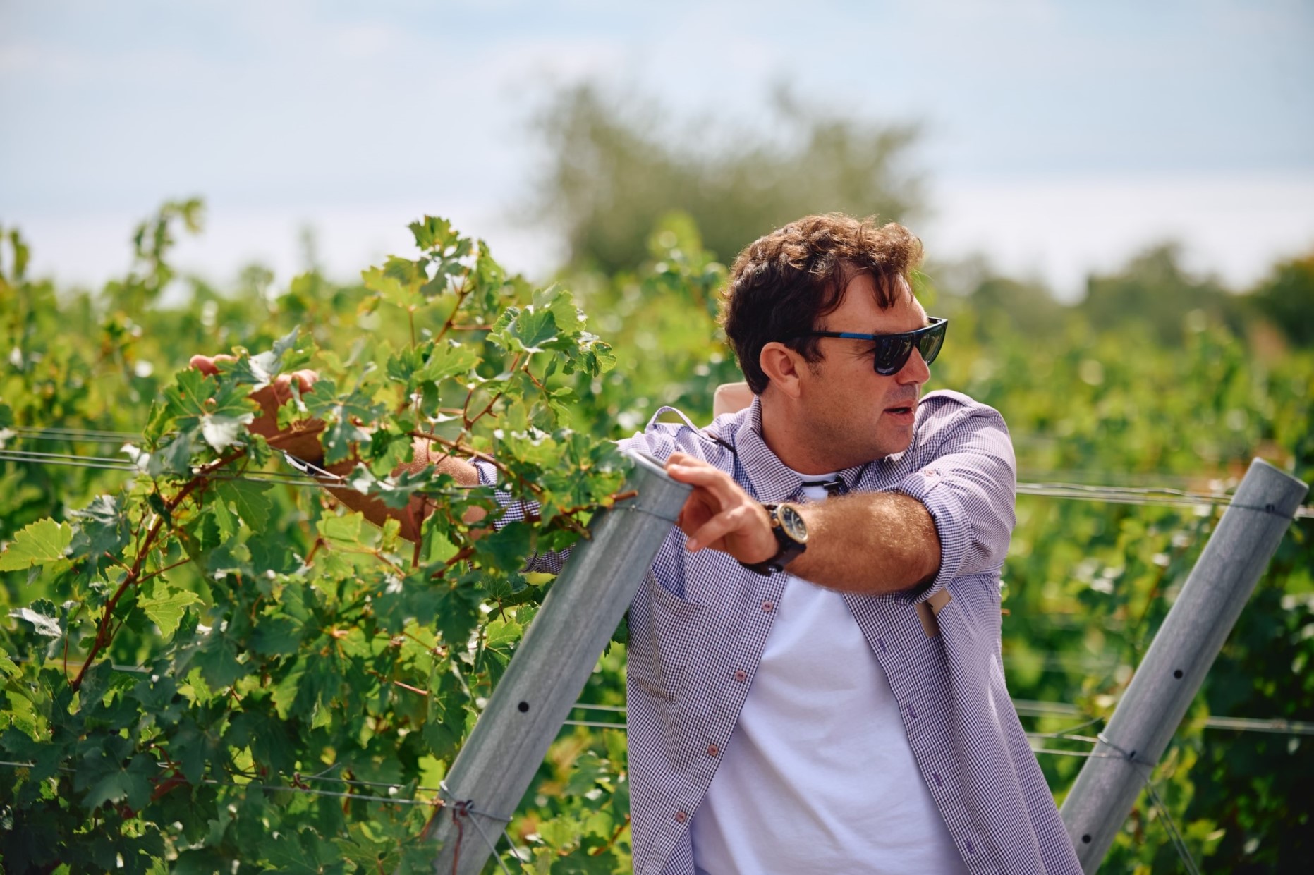 Интервью с Романом Пановым