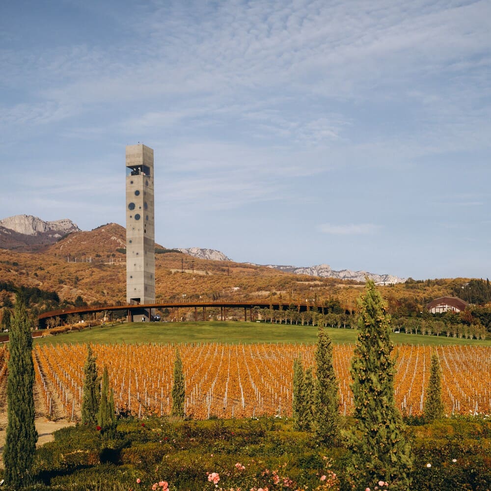 Знакомство с винным парком 0+