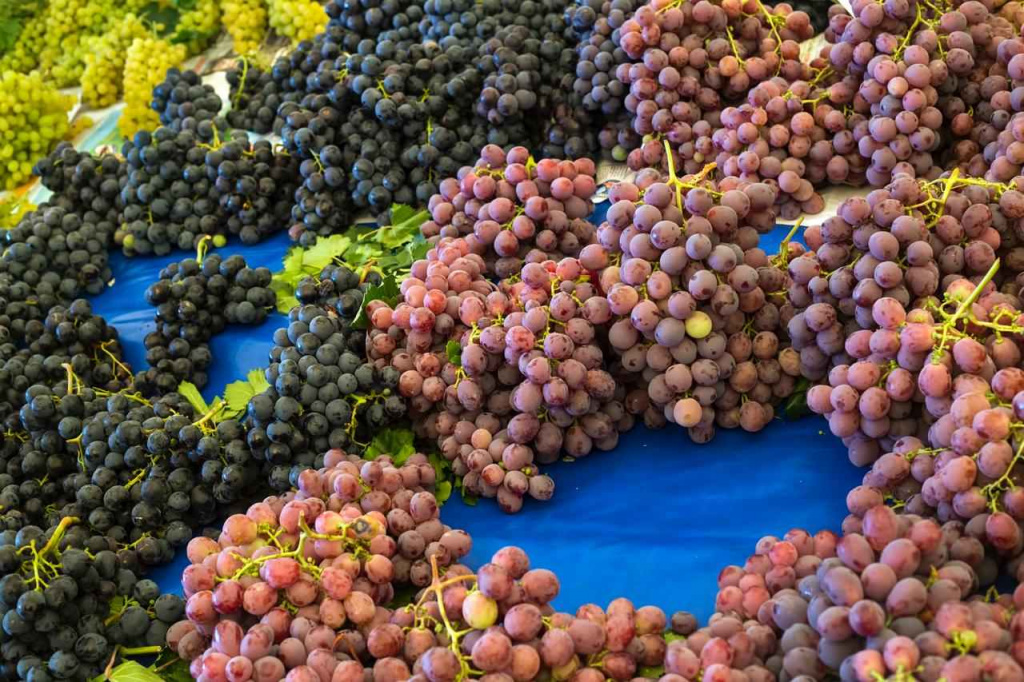 photo_2026-01-27 17.44.36.jpg