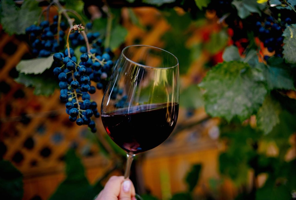 photo_2026-02-25_15-01-40 (2).jpg