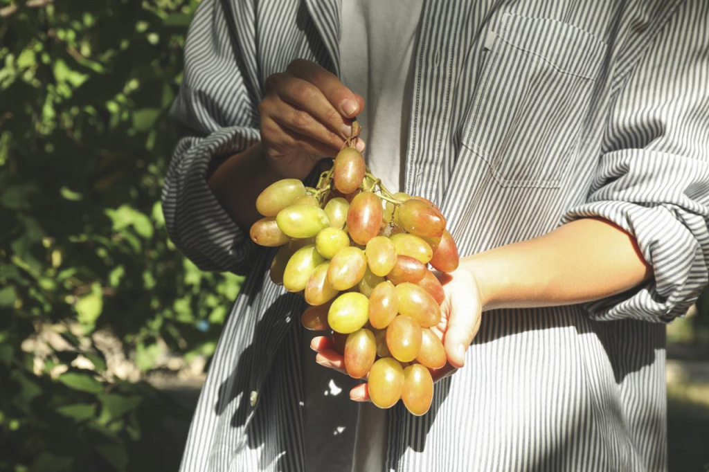 Виноградные гребни